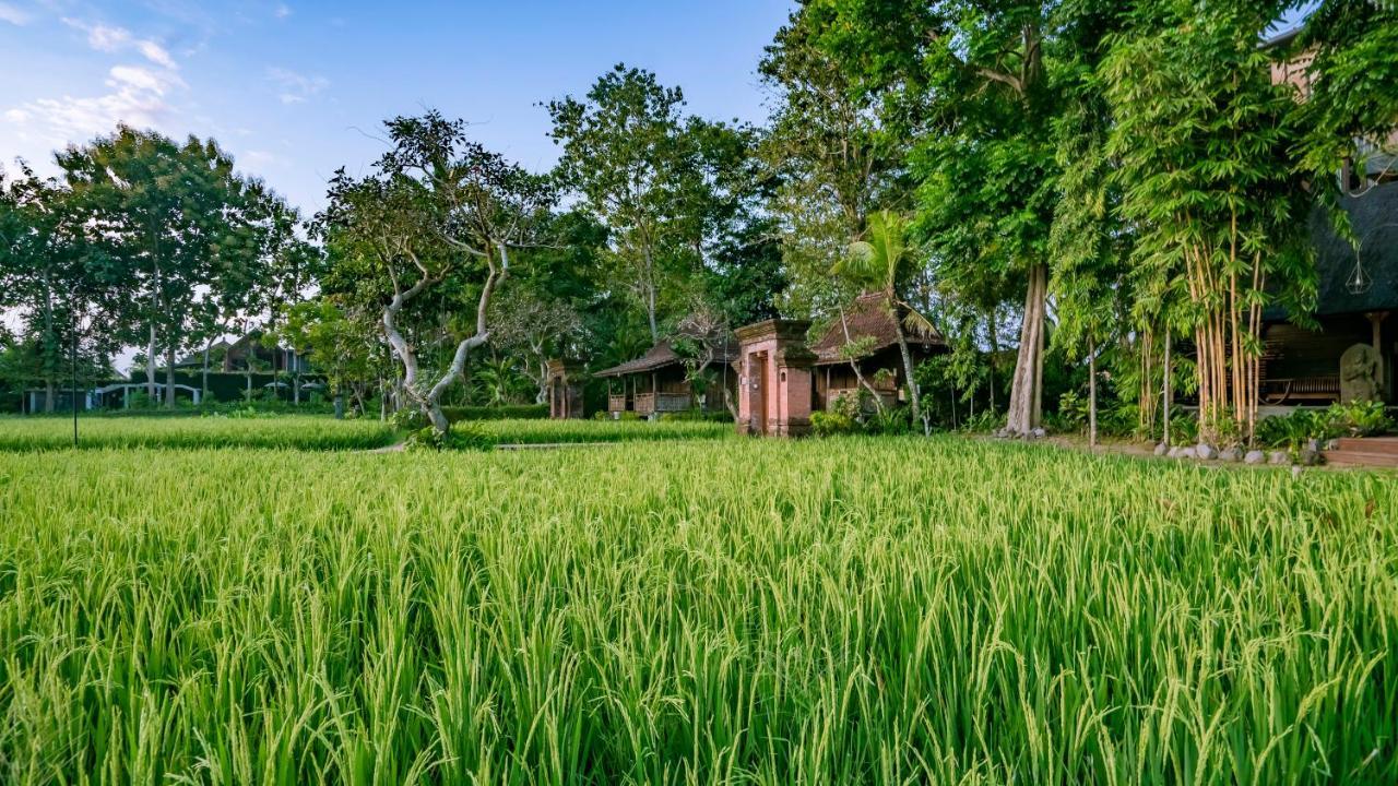 Hotel Kajane Yangloni At Ubud Esterno foto