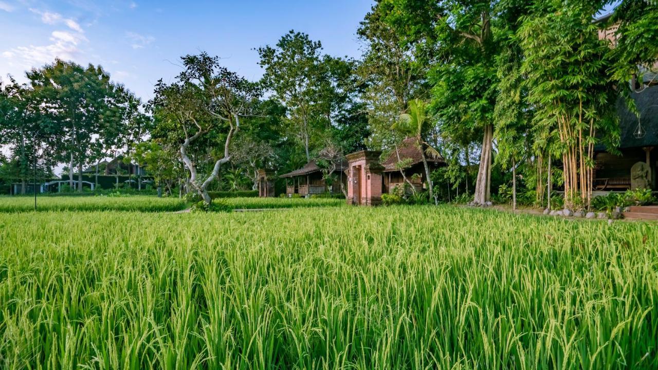 Kajane Yangloni At Ubud Esterno foto