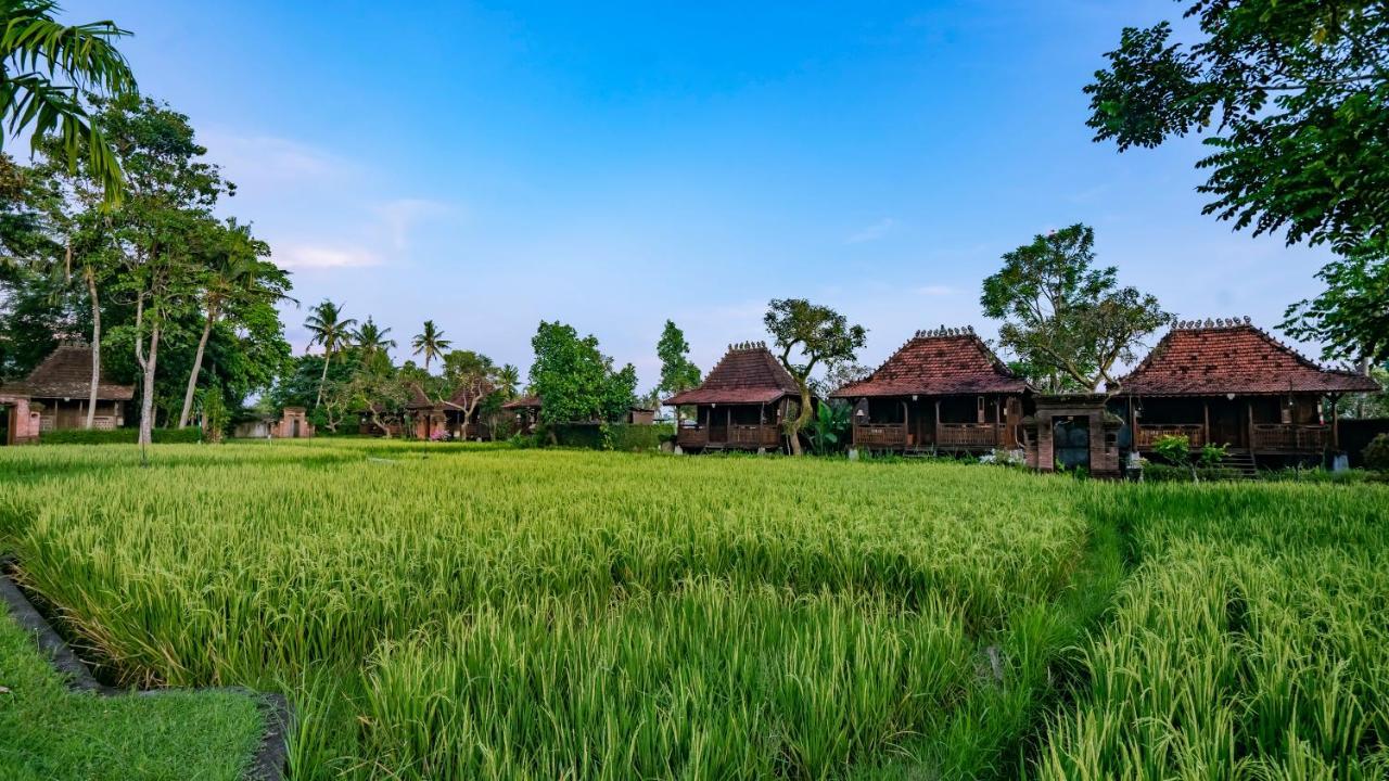 Kajane Yangloni At Ubud Esterno foto